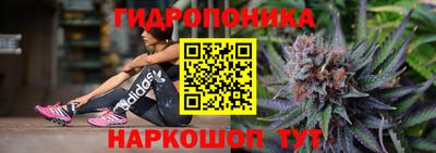 кокс Донской