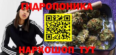индика Донецк