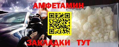 шишки Дубна