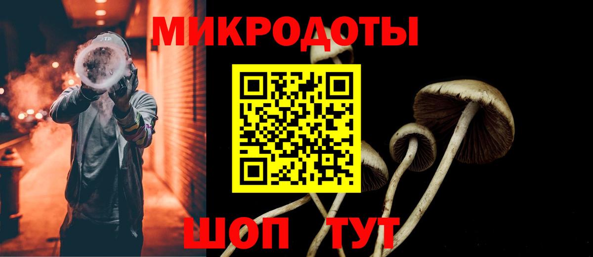 Галлюциногенные грибы прущие грибы  Вход с VPN  Ливны 